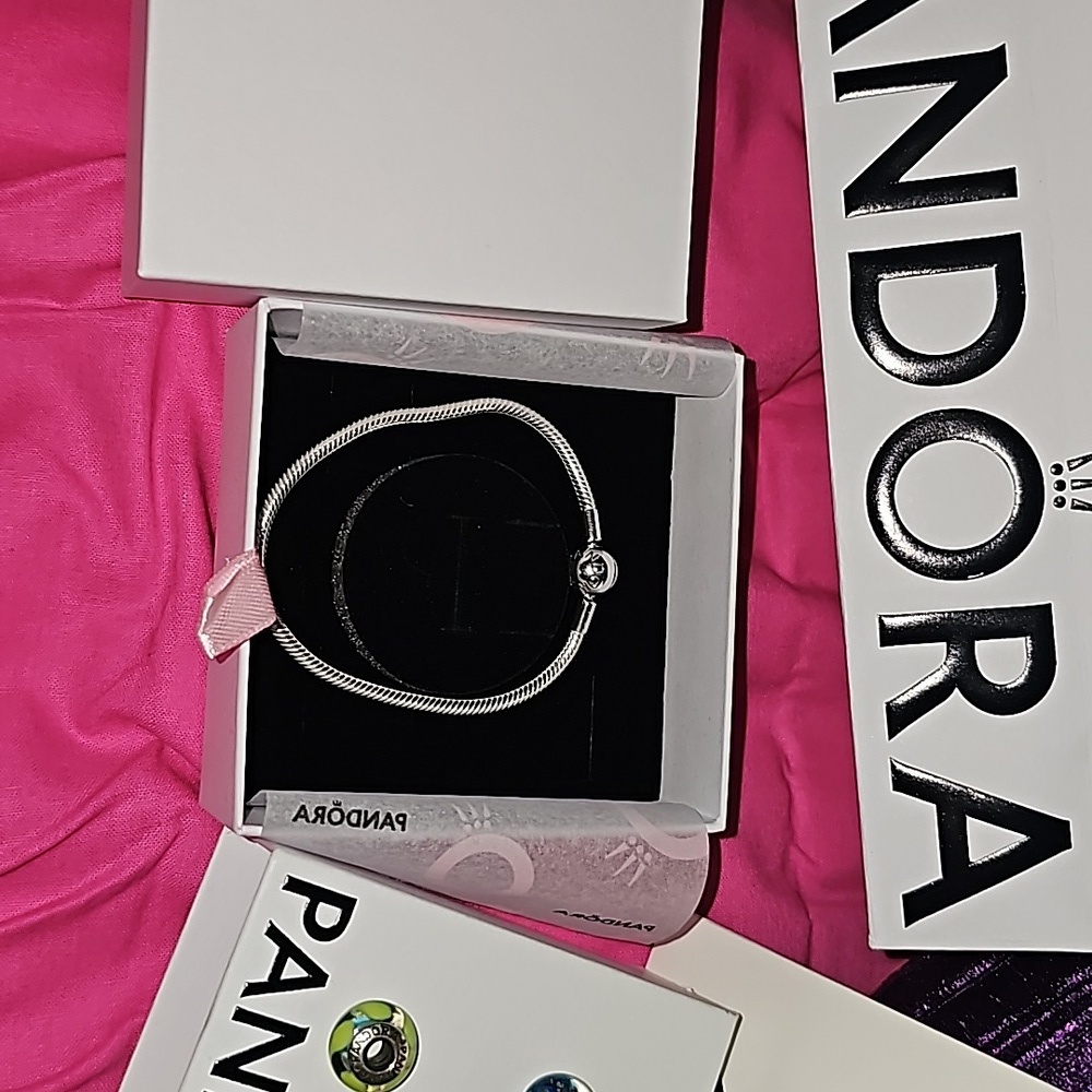 NIB/NIP Pandora Bracelet & Polishing Cloth With (8) Pre-Loved Beads - Picture 12 of 12